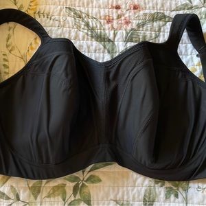 panache sports bra